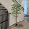 Artificial Ficus Tree Tall Faux Indoor Plant With 1008 Leaves Nursery Pot And Dried Moss